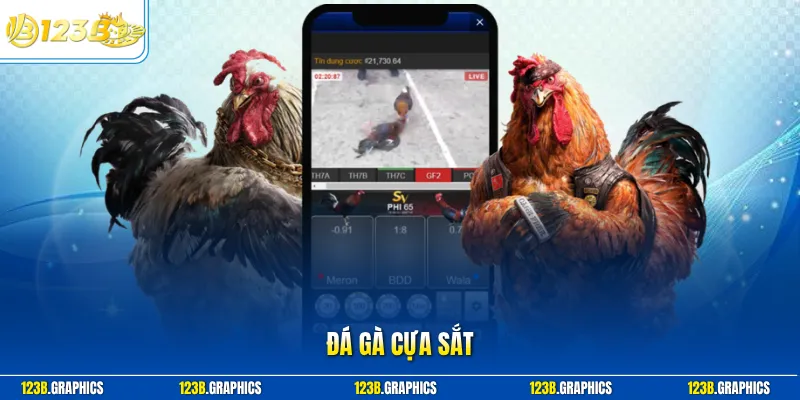 Đá gà cựa sắt