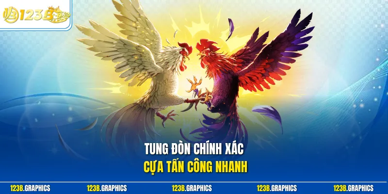 Tung đòn chính xác cựa tấn công nhanh
